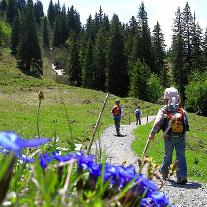 فيلا Diese Einfache Unterkunft- Bergheimat Ist Nur Fuer Backpacker- Rucksacktouristen Und Radfahrer - Huettenfeeling Im Backpackerhoues- Ganz Einfach - Ganz Unkompliziert - Ganz Relaxd Linthal المظهر الخارجي الصورة